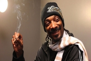 Other sounds - Slark Snoop Dogg